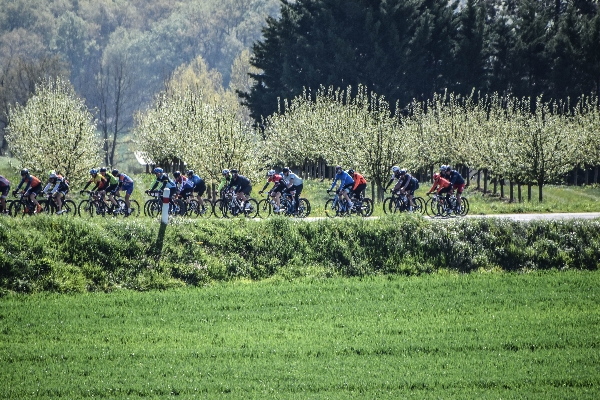 défi 47 2023 © le coup de bordure0020